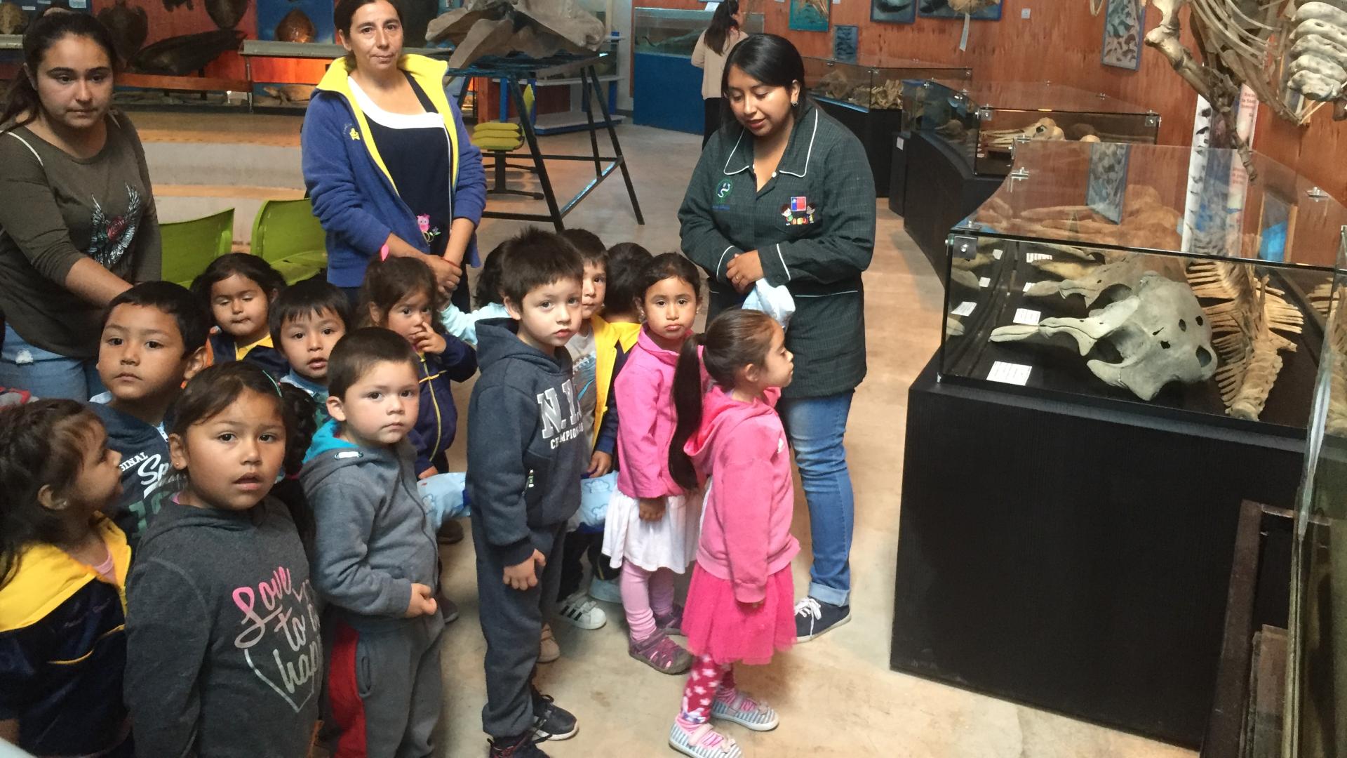 Guiado de niños en las salas de exhibición del museo