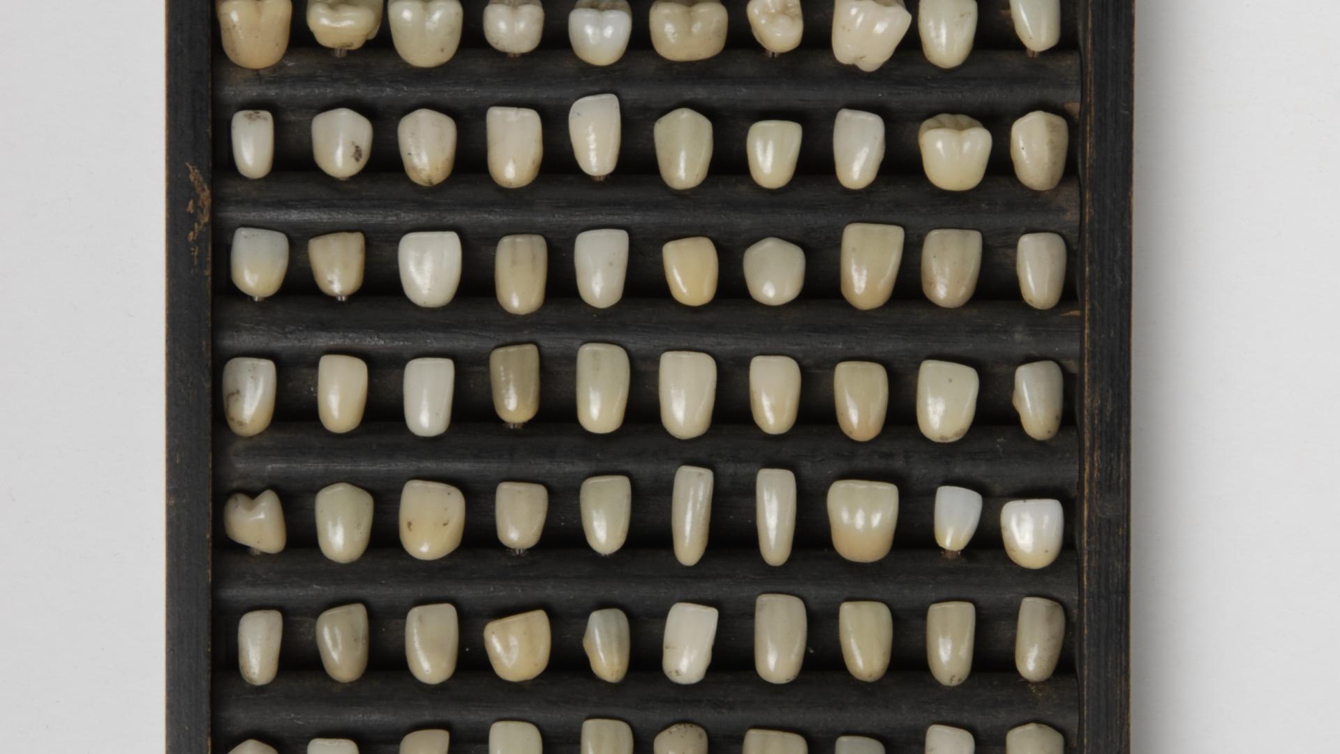 Muestrario dientes de porcelana 1920 aprox. 