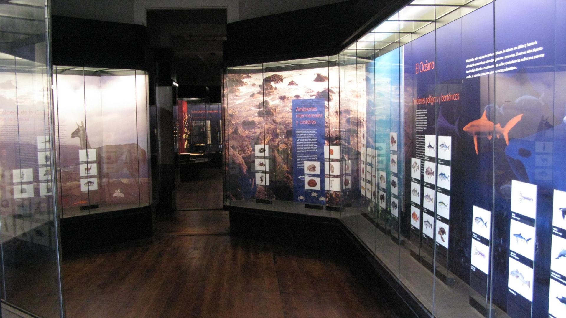 Sala 1, exposición permanente