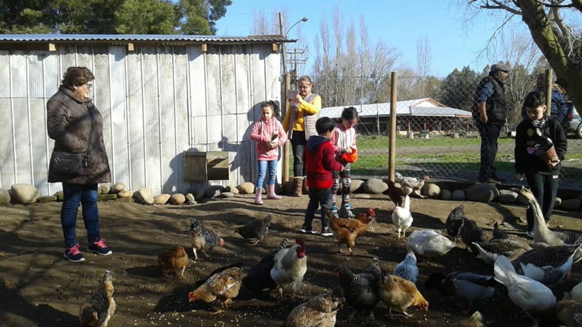 Granja Educativa (alimentando las aves)