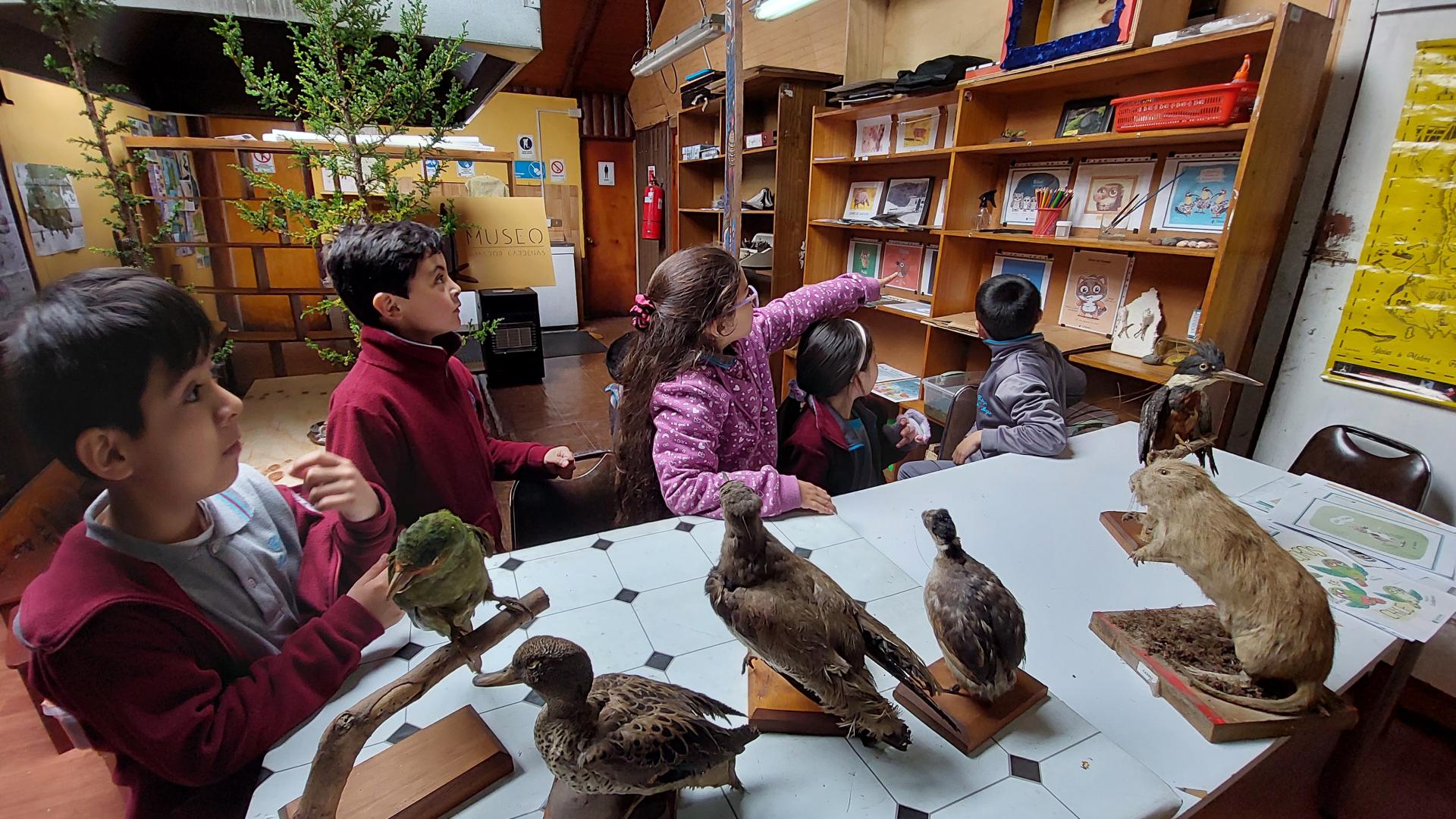 Zona de actividades pedagógicas