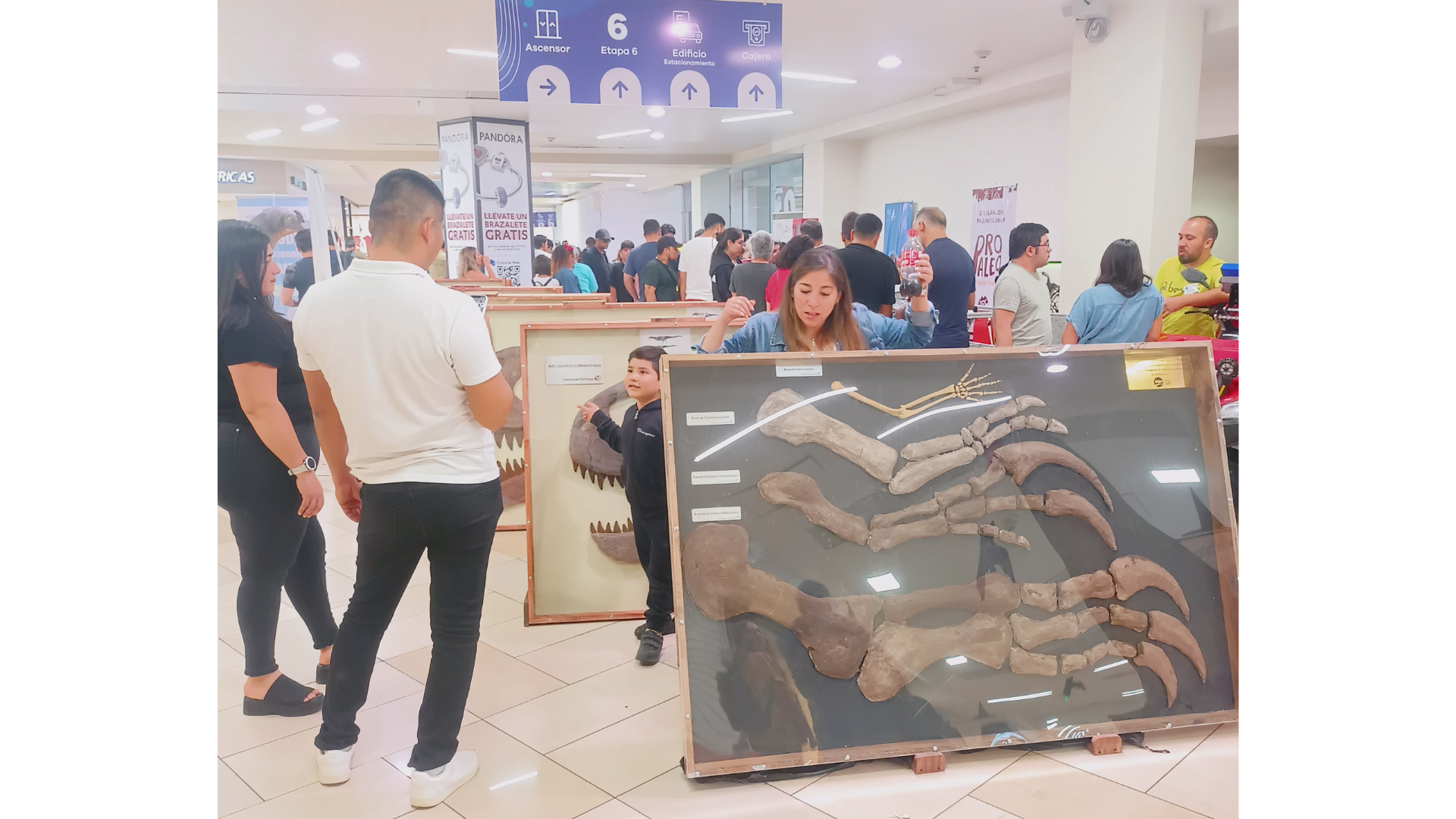 Muestra itinerante realizada en Pozo Almonte