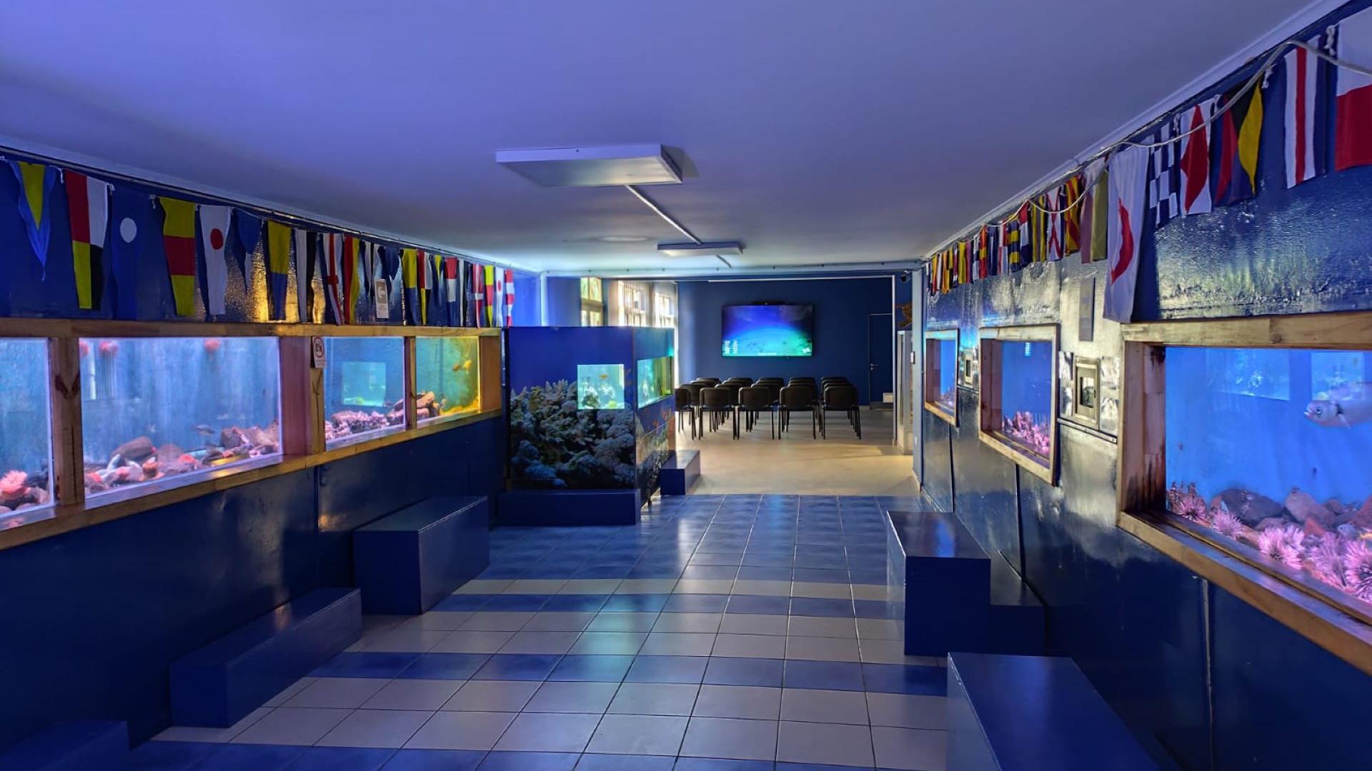 Acuario 