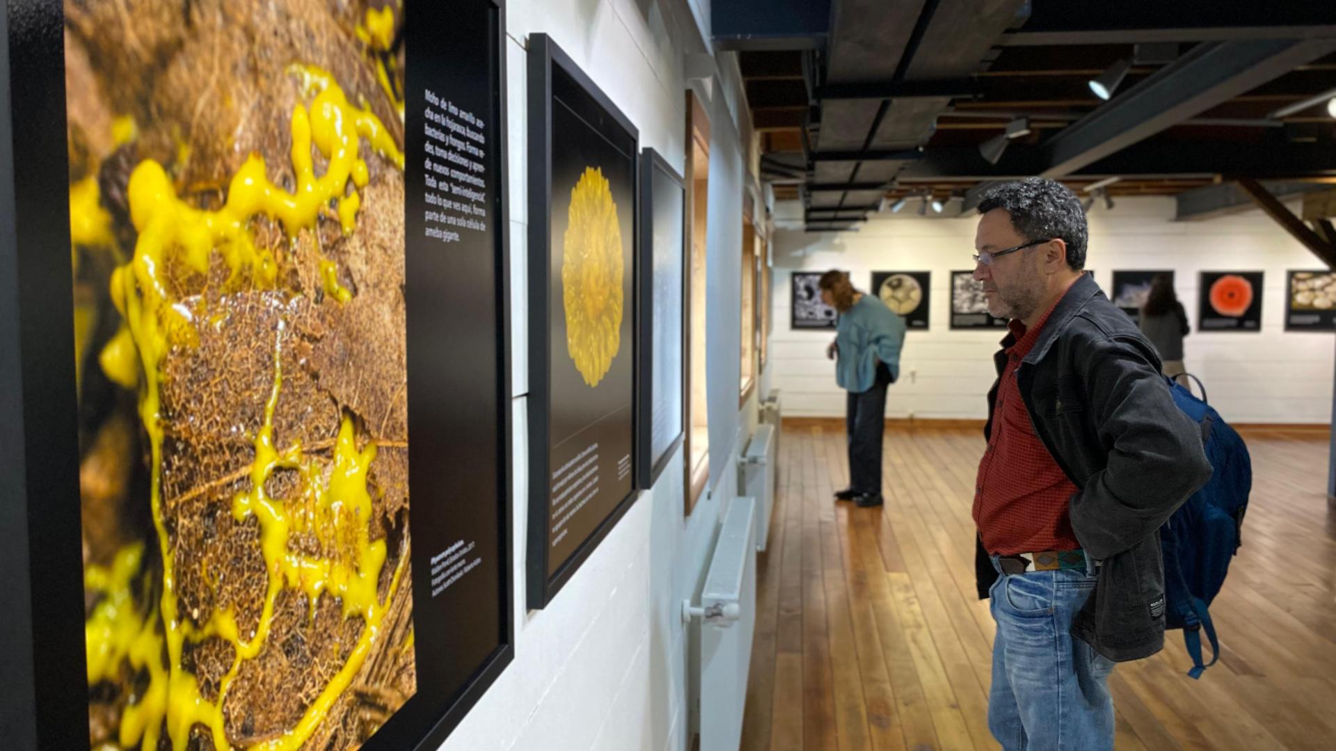 Registro exposición muestra ‘El mundo en una gota de agua: Una exploración fotográfica de la vida microscópica’.