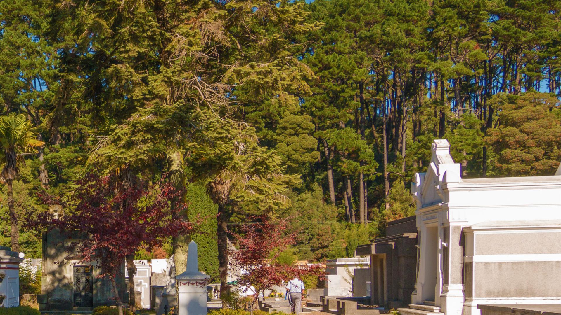 Imágen de mausoleos ubicados en plaza Pedro del Río Zañartu del Cementerio General de Concepción