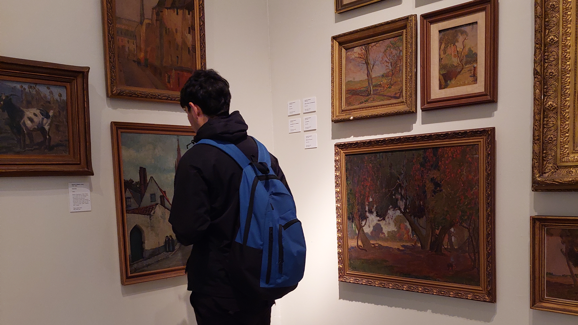 Persona observando obra de arte