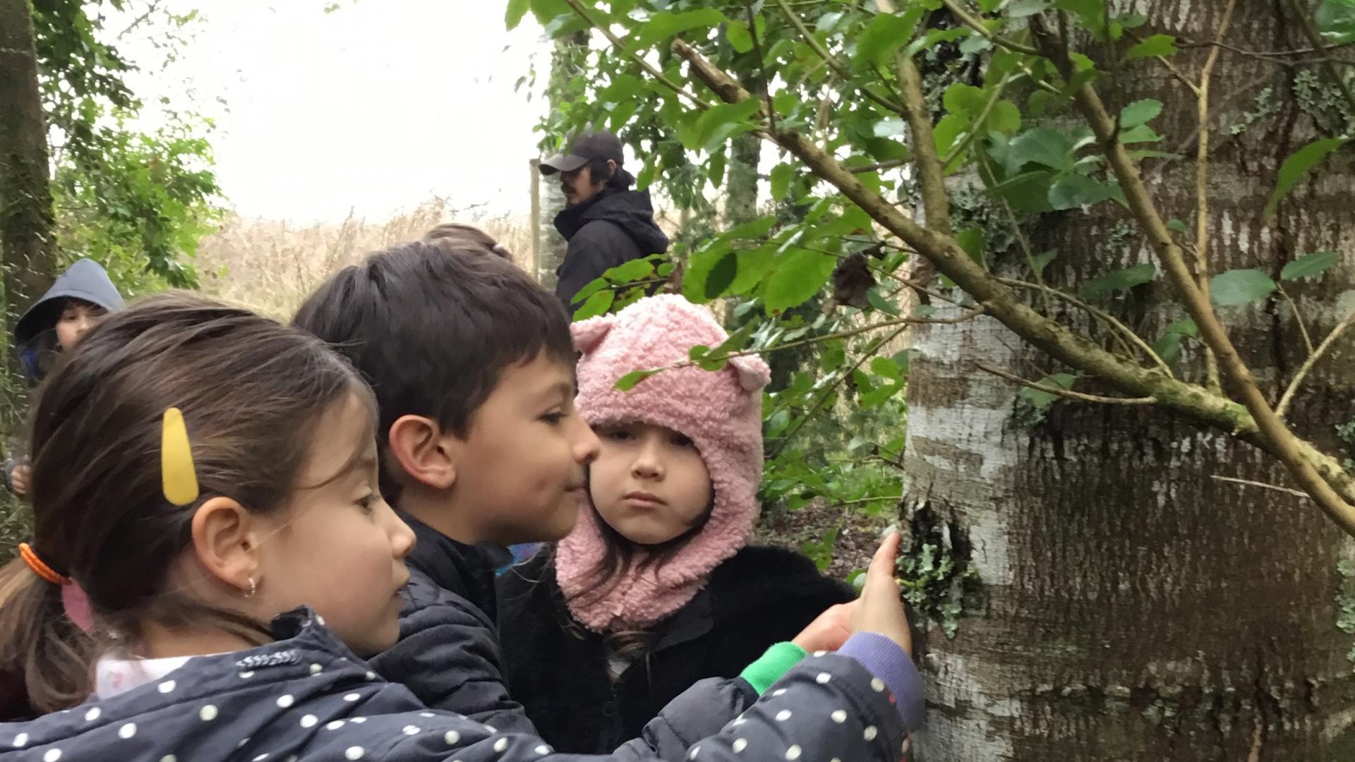 Niñas y niños utilizando su tacto para sentir la corteza de los árboles
