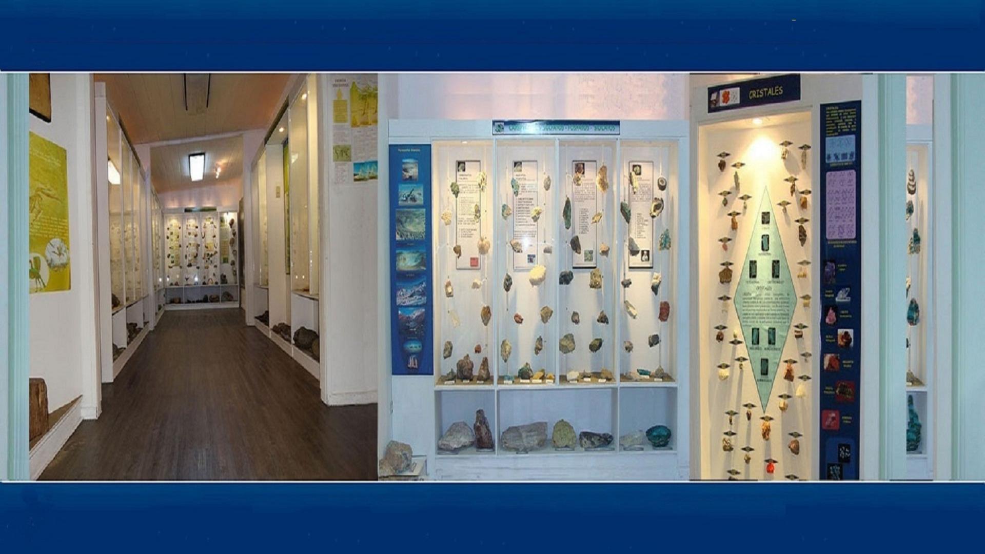Museo de Geología Universidad de Concepción