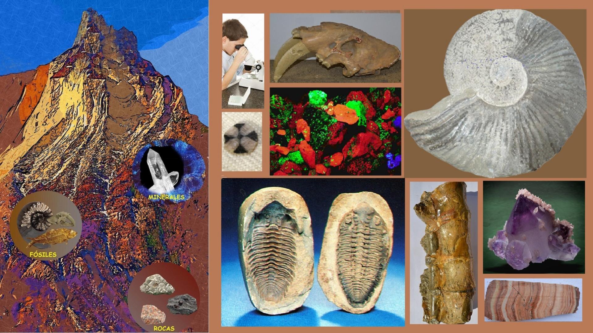 Fósiles, rocas y minerales