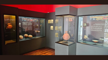 Sala Aconcagua