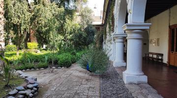 Oasis interior del museo