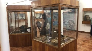 Sala exhibición arqueología 