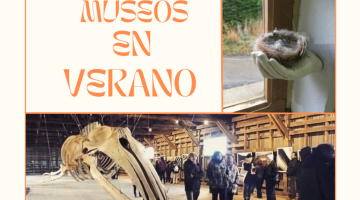 Visitas Guiadas Museo de Historia Natural Río Seco