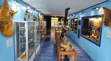 Museo