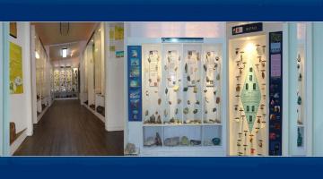 Museo de Geología Universidad de Concepción